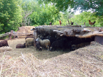 Similar image 1435018