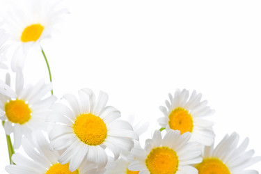 Similar image 1435024