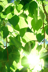 Similar image 1435025