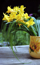 Similar image 1435026