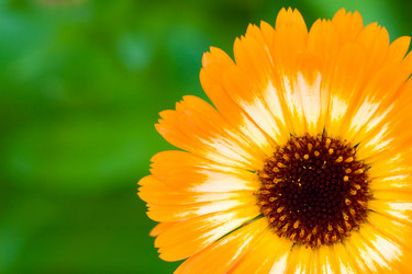 Similar image 1435034