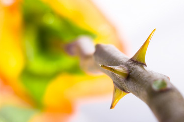 Similar image 1435037