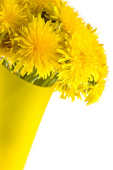 Similar image 1435043