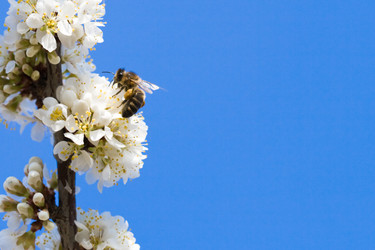 Similar image 1435050