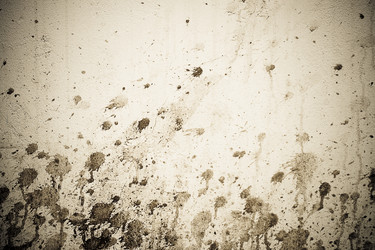 Similar image 1435059