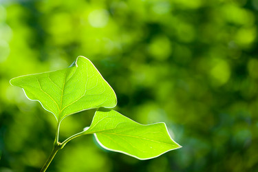 Similar image 1435062