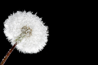 Similar image 1435078