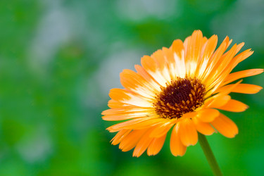 Similar image 1435083