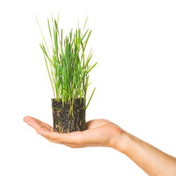 Similar image 1435095