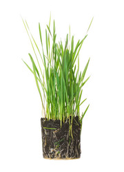 Similar image 1435104