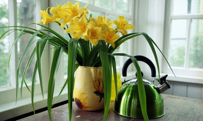 Similar image 1435105