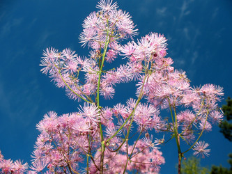 Similar image 1435113