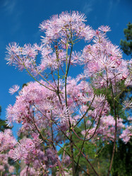 Similar image 1435114