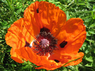 Similar image 1435116