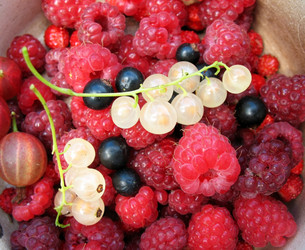 Similar image 1435119