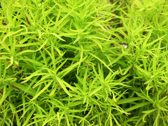 Similar image 1435122