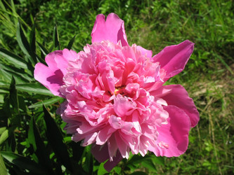 Similar image 1435123