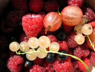 Similar image 1435124