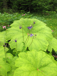 Similar image 1435139