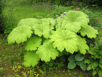 Similar image 1435140