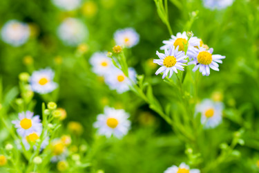 Similar image 1435145