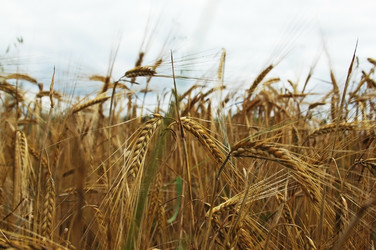 Similar image 1435149