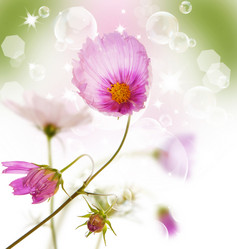 Similar image 1435186