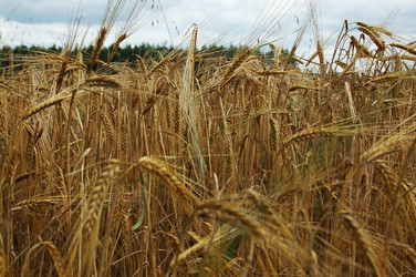 Similar image 1435188