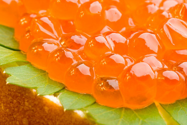 Similar image 1435191