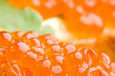 Similar image 1435192