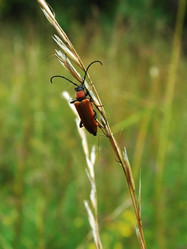 Similar image 1435214