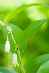 Similar image 1435246