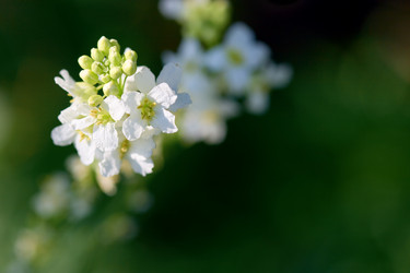 Similar image 1435257