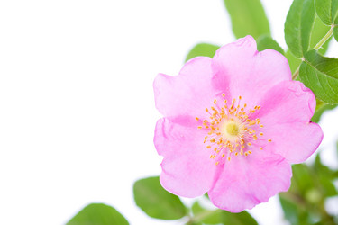 Similar image 1435264