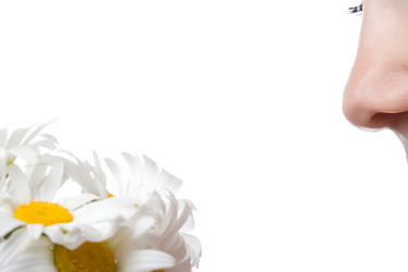 Similar image 1435265