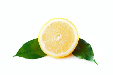 Similar image 1435269