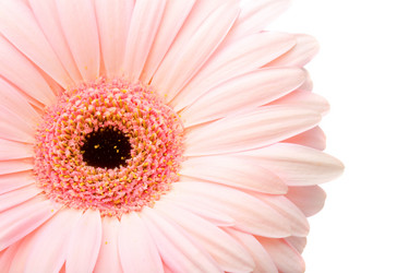 Similar image 1435281