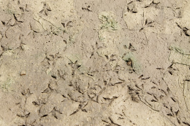 Similar image 1435285