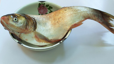 Similar image 1435289