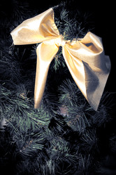 Similar image 1435404