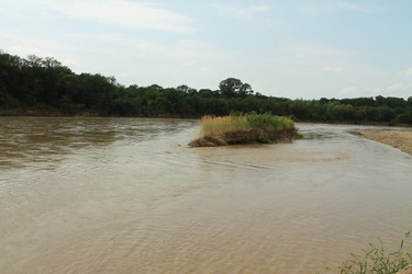 Similar image 1435429