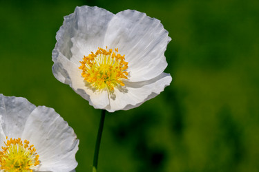 Similar image 1435495