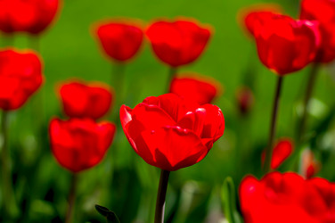 Similar image 1435505