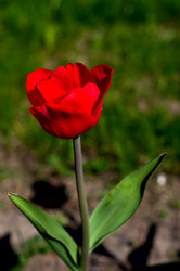 Similar image 1435506