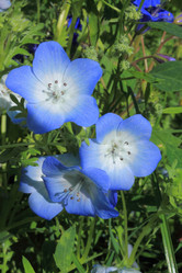 Similar image 1435512