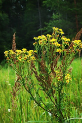 Similar image 1435513