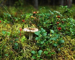 Similar image 1435514