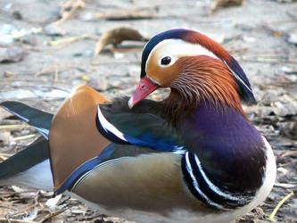 Similar image 1435524