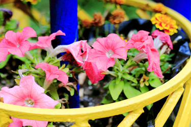 Similar image 1435547