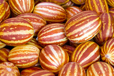 Similar image 1435560